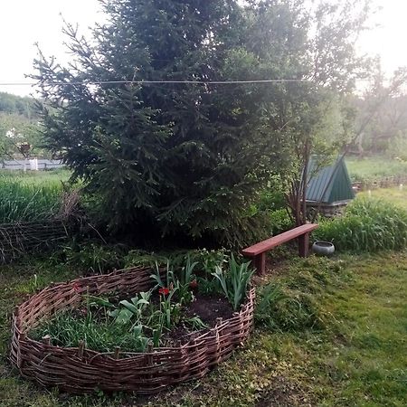 Дибинецькі Карпати Dybintsy Exterior foto