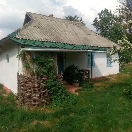 Дибинецькі Карпати Dybintsy Exterior foto