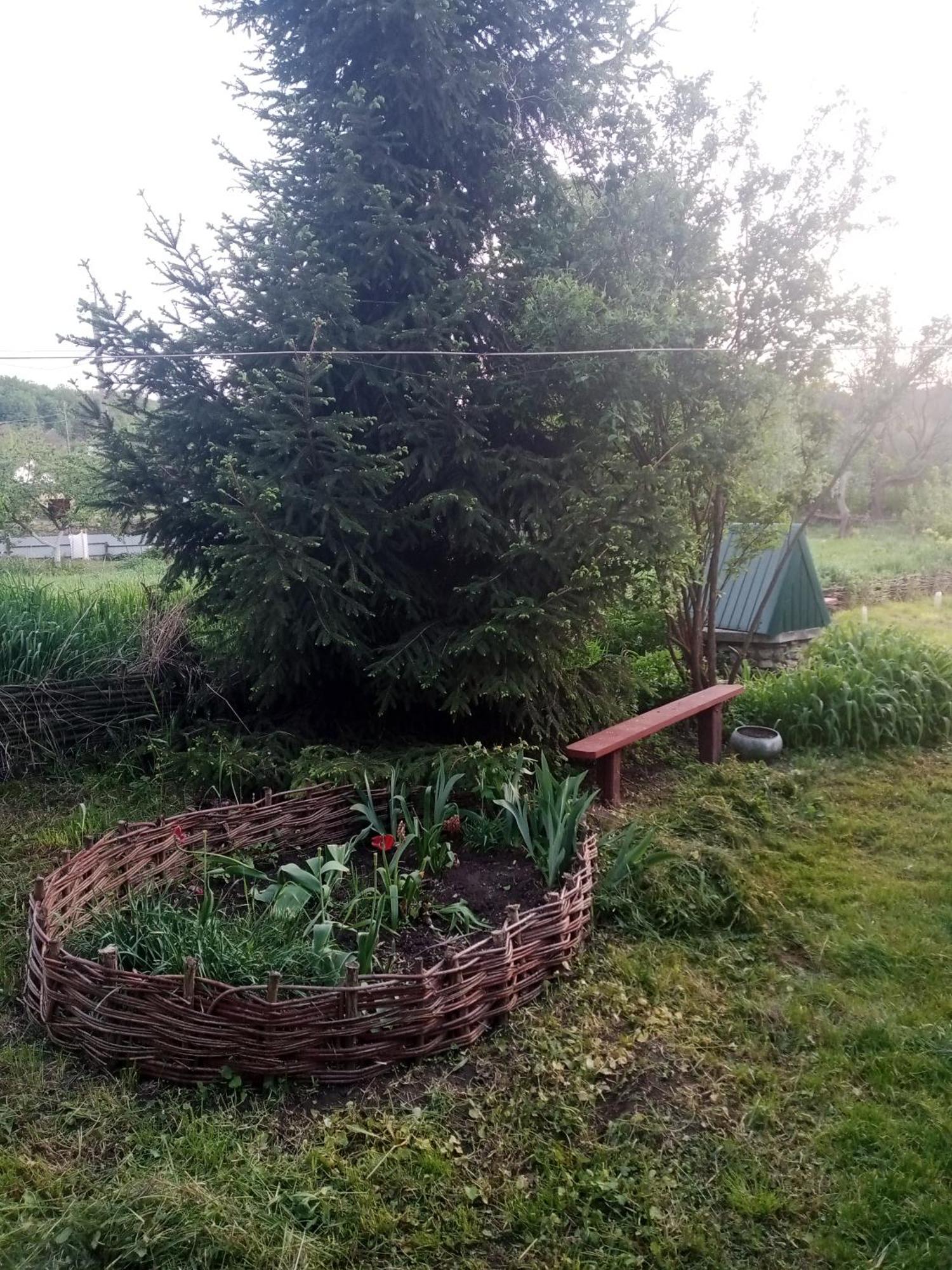 Дибинецькі Карпати Dybintsy Exterior foto