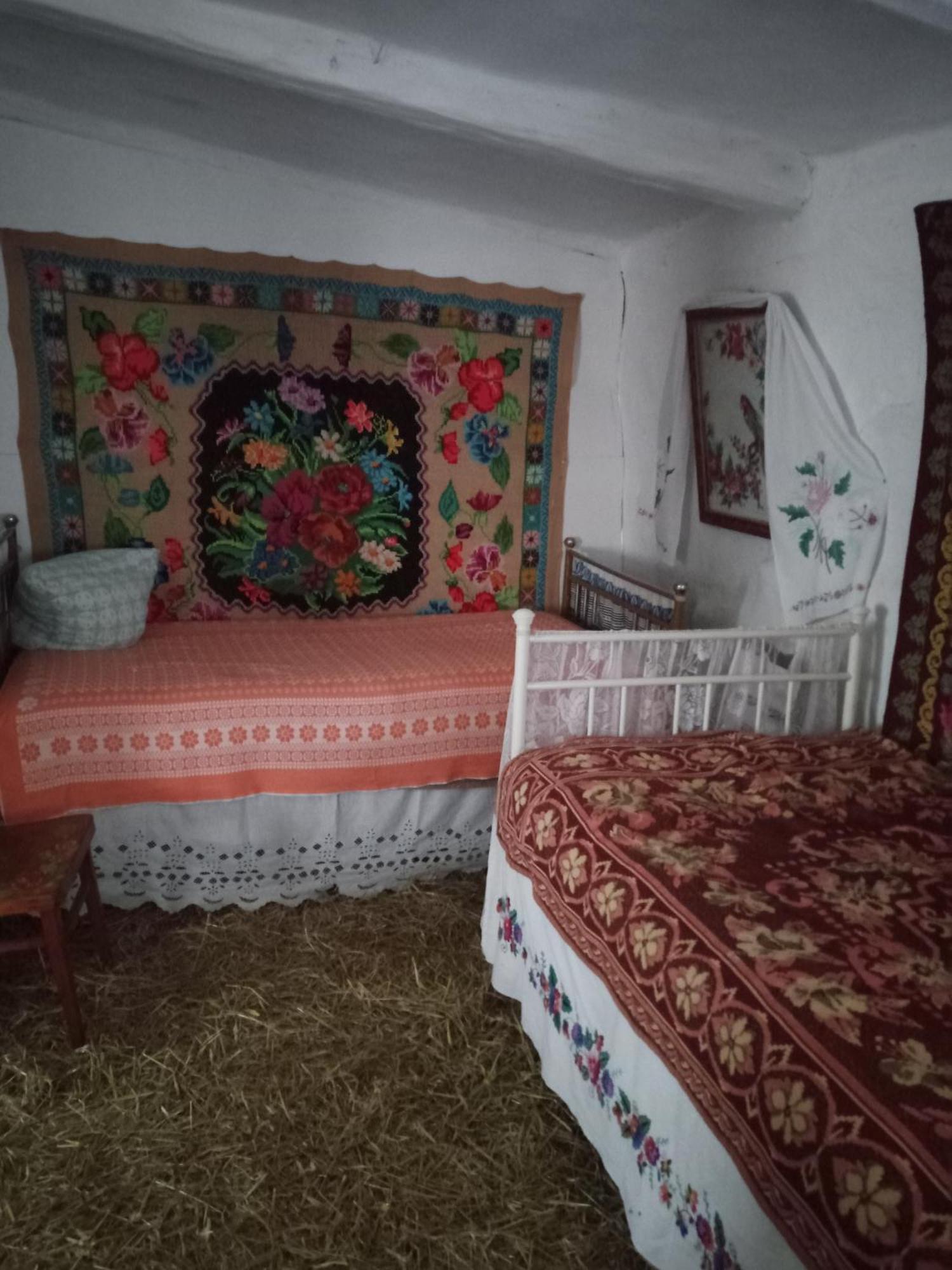 Дибинецькі Карпати Dybintsy Exterior foto